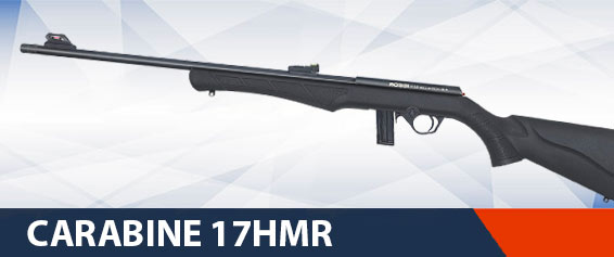 Carabine 17hmr