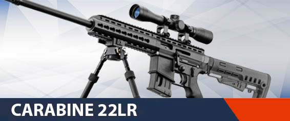 Carabine 22lr