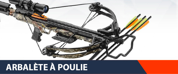 Arbalète de chasse ou de loisir, recurve ou à poulie de la marque Barnett,  Excalibur