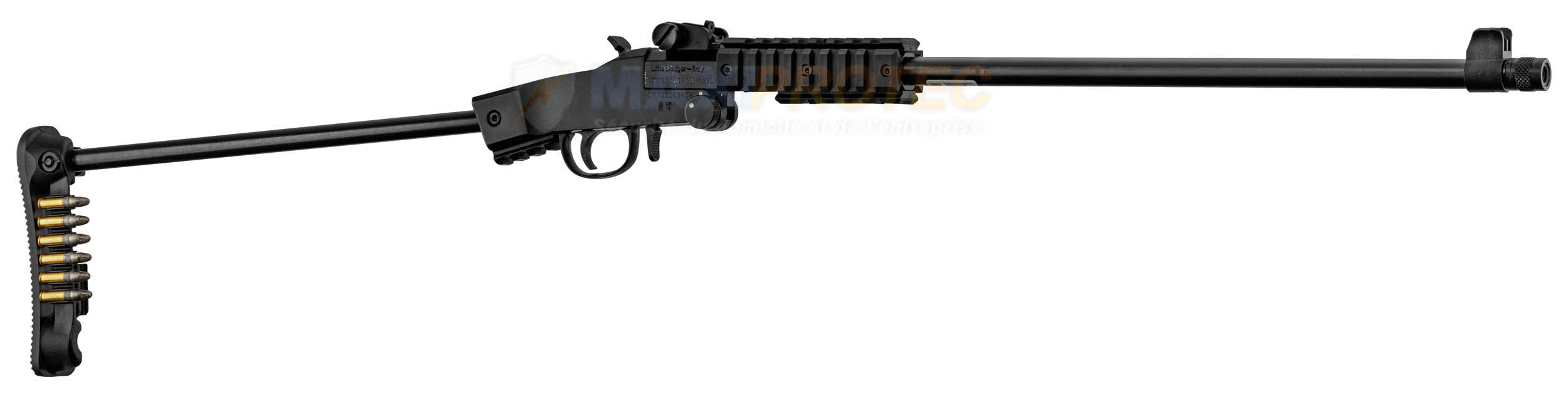 Carabine avec accessoires Picatinny