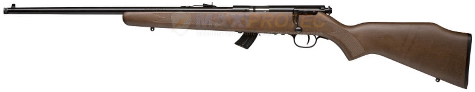 Carabine Rossi 22LR Noire
