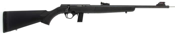 carabine 22 LR noire