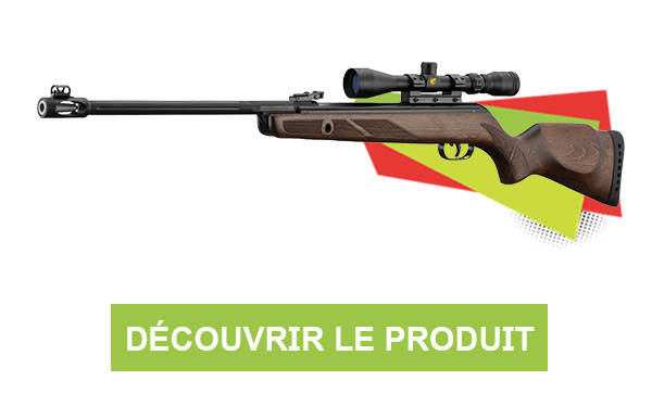 Carabine à plombs Hunter Gamo 440