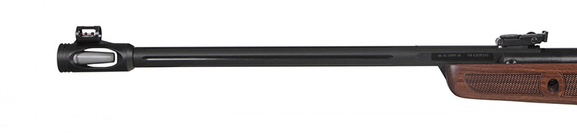 canon carabine gamo hunter